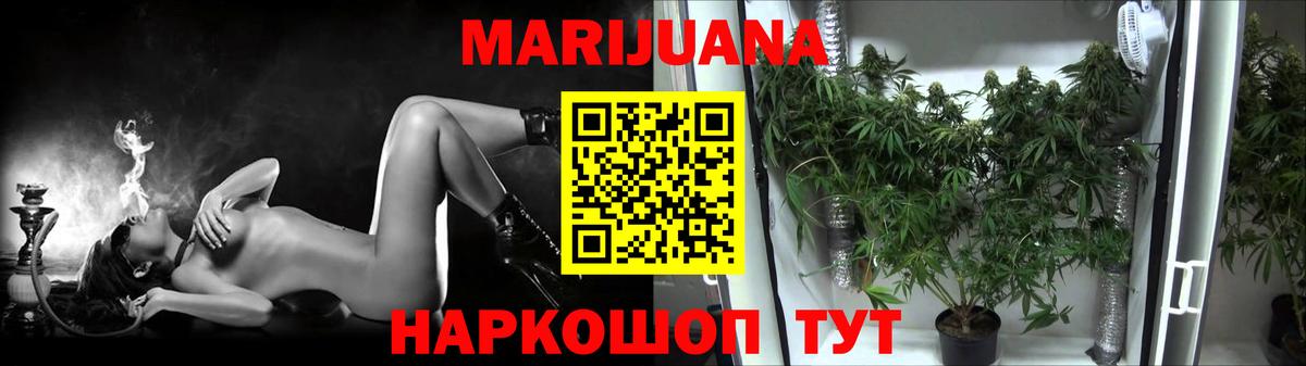 Бошки Шишки индика Гудермес